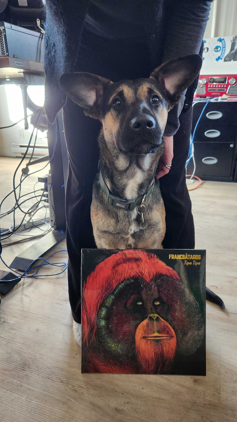 Album "Tipa Tipa" (Vinyl) - Francbâtards