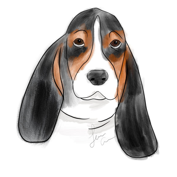 120428480_328655528392845_2153381147438882993_n