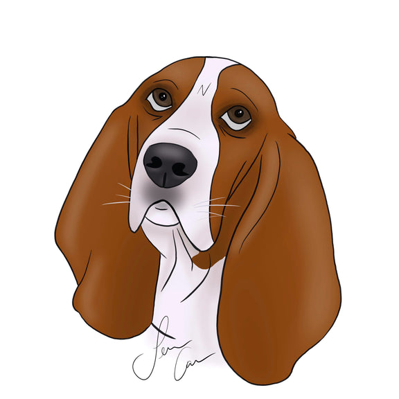 120540082_346530943133475_8608489088466509650_n