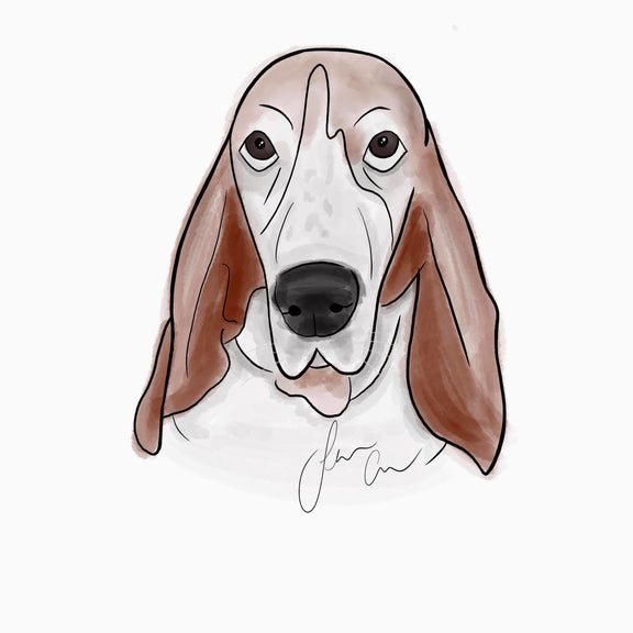 120561590_2785378658404889_1358395775872139668_n