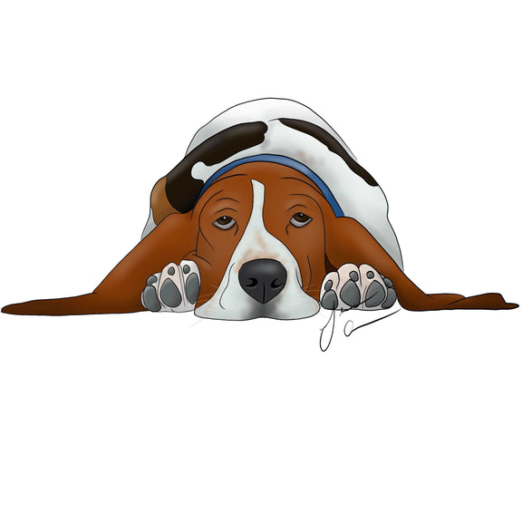 120635325_989890358155662_6251621686538653463_n