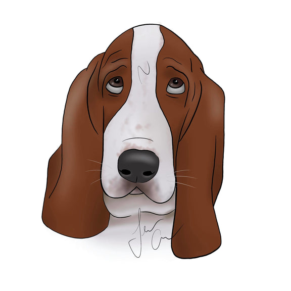 120733121_799730424216034_1821733268055603837_n