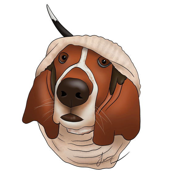 120768671_413536442962308_1133266944092541205_n