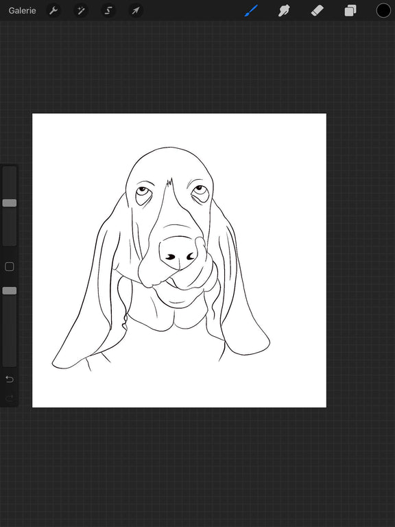 120904088_1249341188733711_2226530427542828046_n