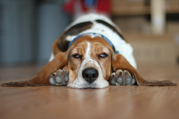 614543_10151956569625430_1263831714_o