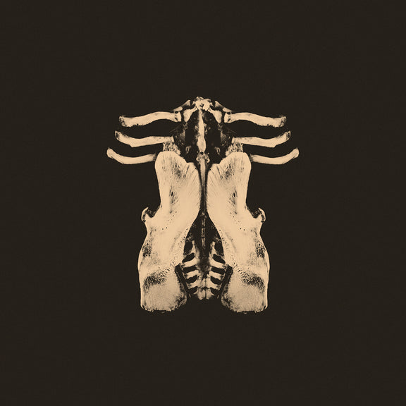 Oktoplut-Pansements-CD1000x1000