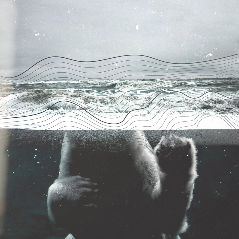 RP_CoverArt