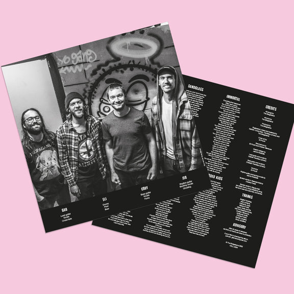 mockup vinyle insert