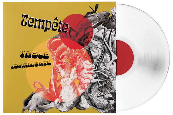 tempête_table tourmante_mockup_vinyle test