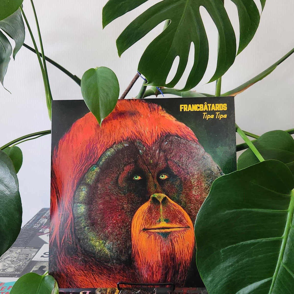 Album "Tipa Tipa" (Vinyl) - Francbâtards