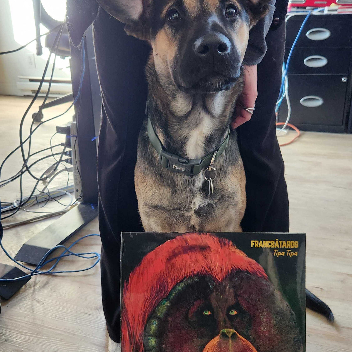 Album "Tipa Tipa" (Vinyl) - Francbâtards