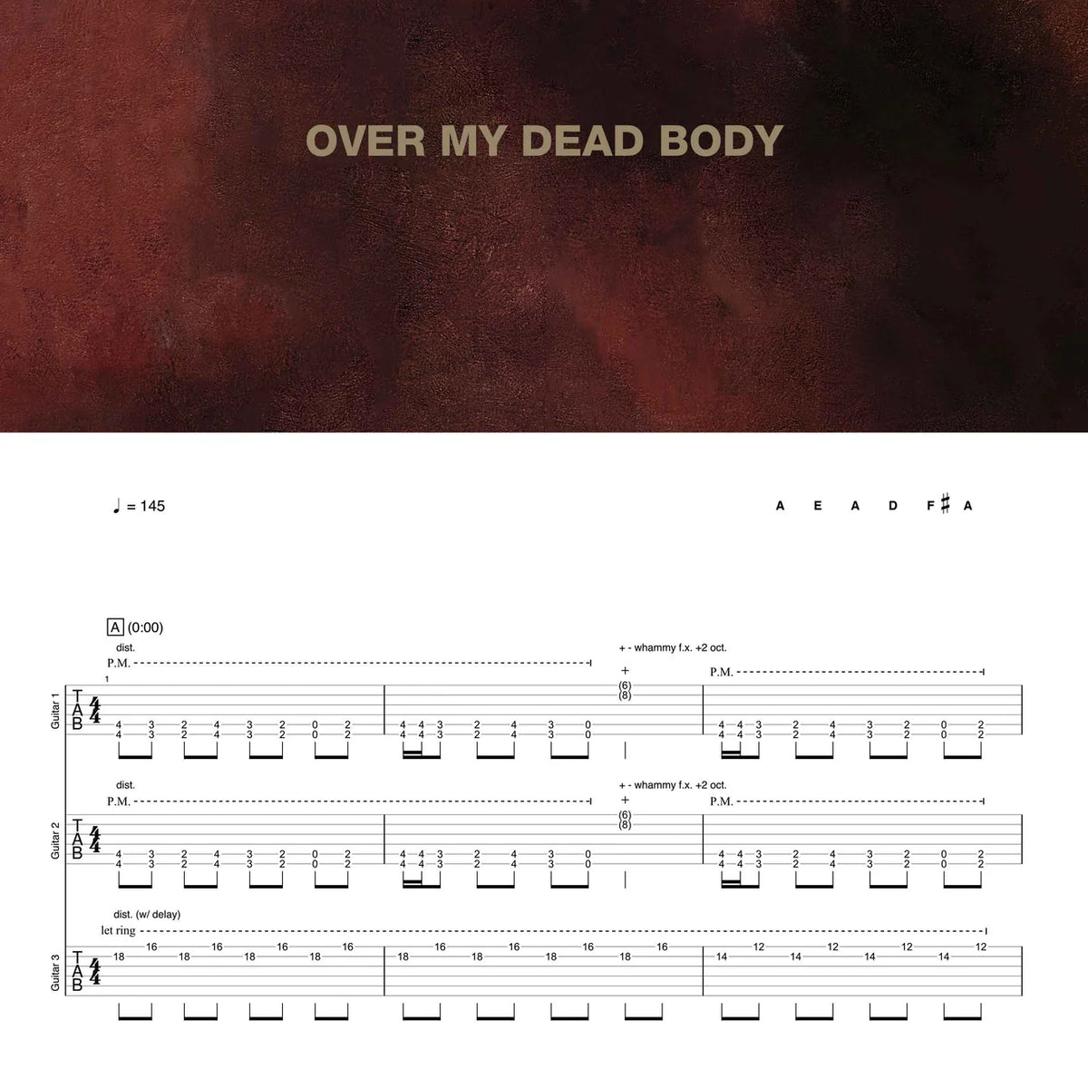 Livre de tablature de guitare ''Shadow Work'' - Despised Icon
