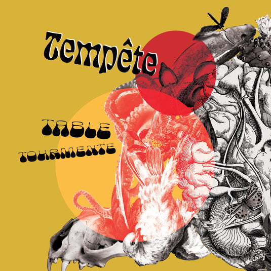 Image Album “Table tormente” (Vinyl) – Tempête