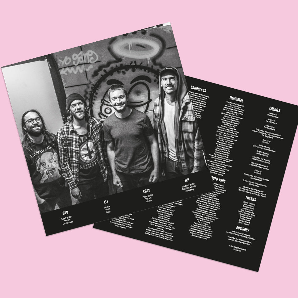 mockup vinyle insert