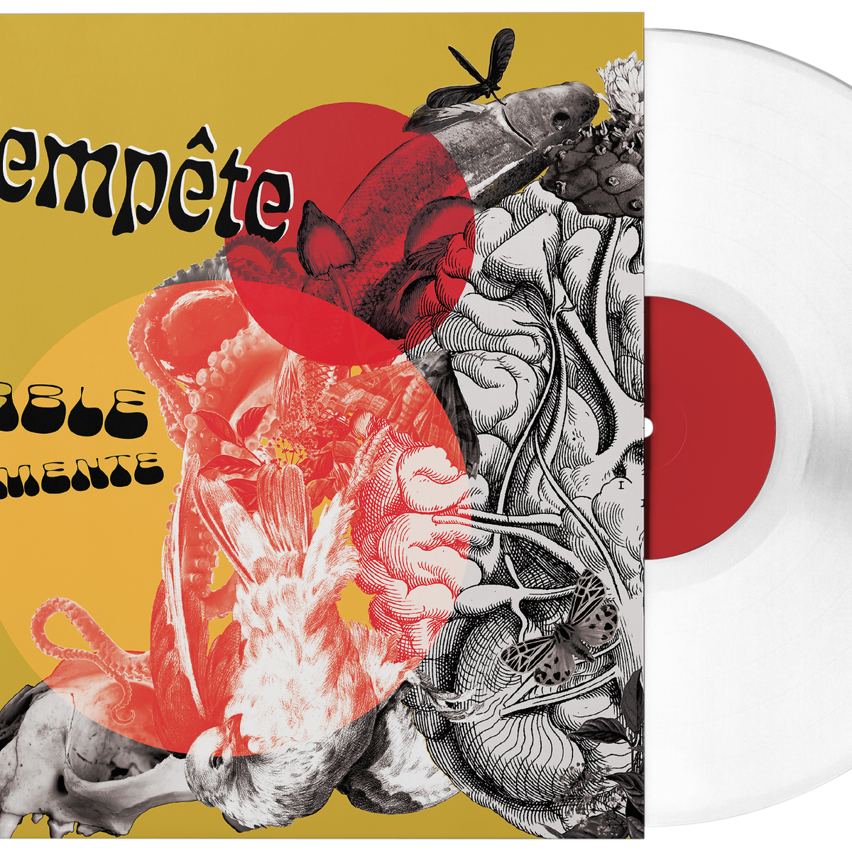 tempête_table tourmante_mockup_vinyle test